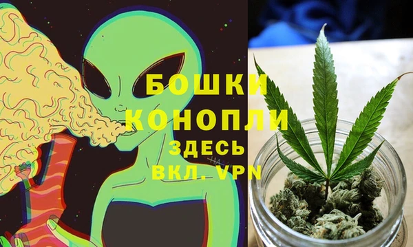 бошки Алексин