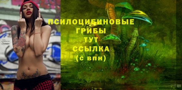 бошки Алексин