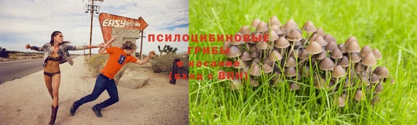 хмурый Абдулино