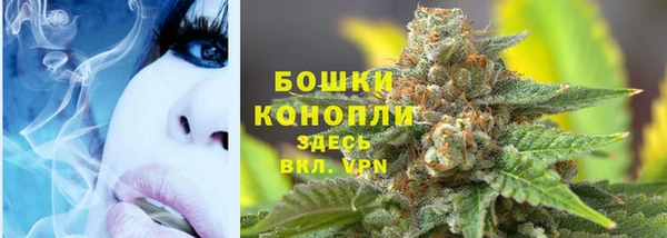бошки Алексин