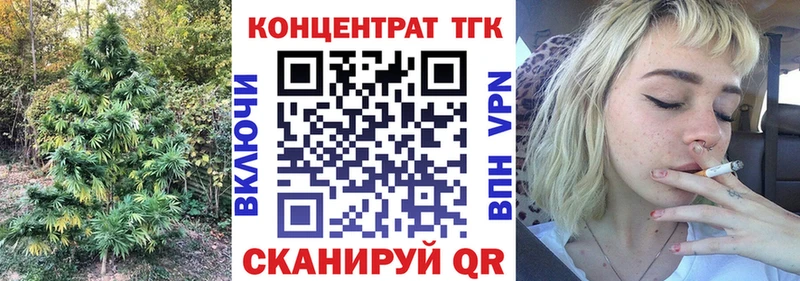 закладки Пудож МЕГА сайт Дистиллят ТГК THC oil
