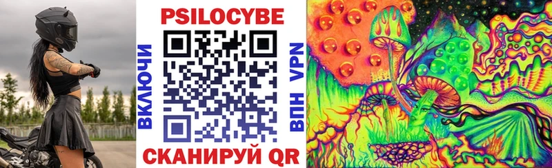 Псилоцибиновые грибы Psilocybe маркетплейс телеграм Пудож